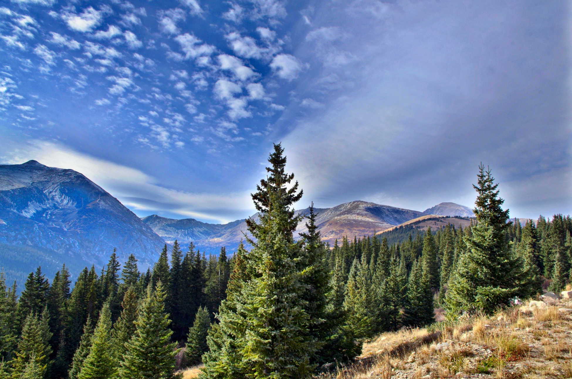Above 10,000 feet in Colorado